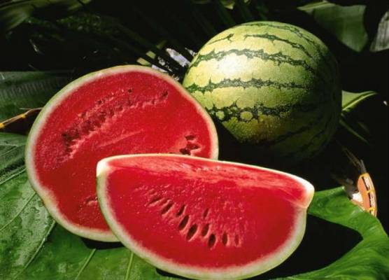 للباحثين عن وزن مثالي.. 10 فواكه حارقة للدهون