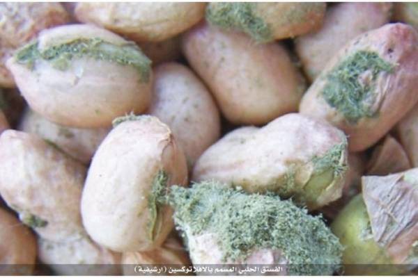 فستق حلبي مسموم وقهوة غير صالحة .. كيف دخلت المملكة؟!