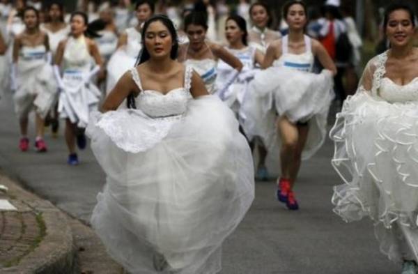 سباق العرائس.. سباق من أجل الحياة