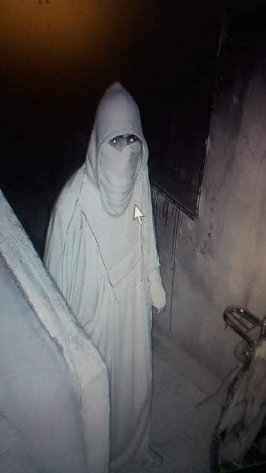 البحث الجنائي يلقي القبض على شبح الشونه الشمالية (صور)