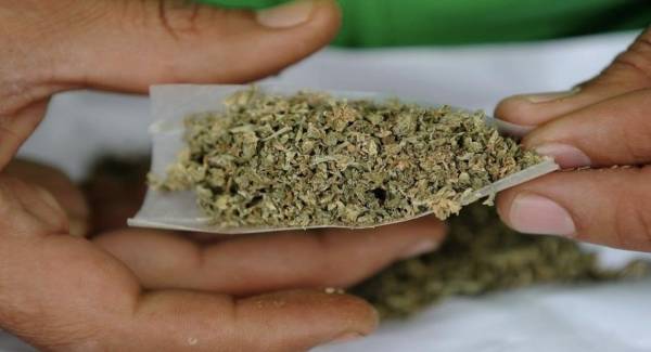 الزرقاء : اطفال بعمر الورد يتناولون مادة الحشيش ومواطنة تشج رأس زوجها ..