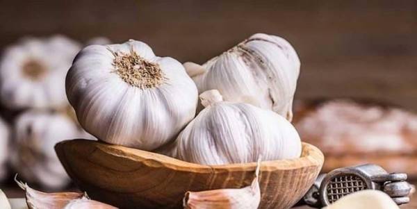 الثوم مفعول سحري في علاج مرض خطير.. تعرفوا عليه!