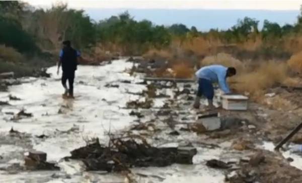 مياه الأمطار تداهم أكثر من 40 منزلًا في الشونة الجنوبية