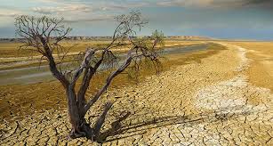 الأردن يدعو الدول الغنية لدعم “النامية” ماليا وتقنيا