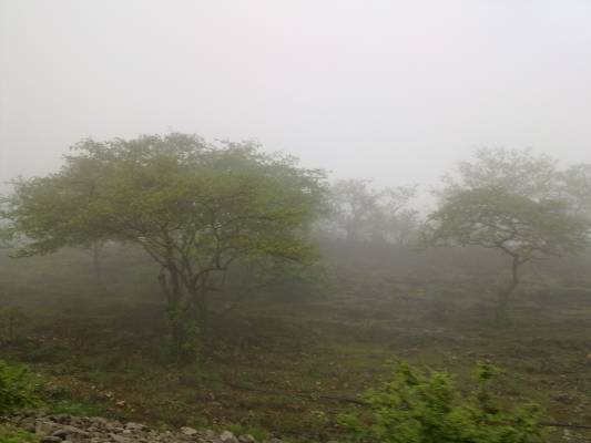 الجمعة :تراجع تدريجي في حدة المنخفض وتحذيرات من الضباب