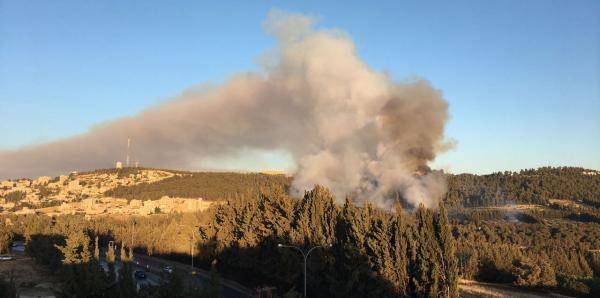 شبهة جنائية وراء حريق شب بمشروع زراعي في الاغوار الشمالية
