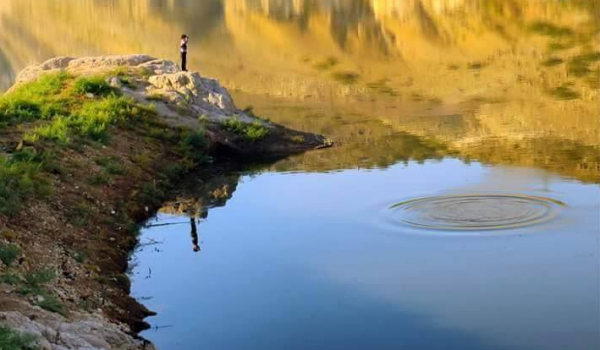 متخصصون يطالبون بحماية سد كفرنجة من التلوث