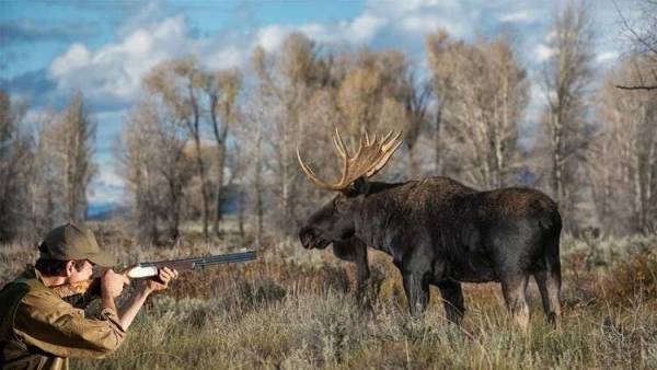 رجل يصطاد ابنه معتقدا أنه أيل!