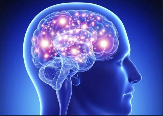 باحثون يكشفون أهم أسرار دماغ الإنسان !!
