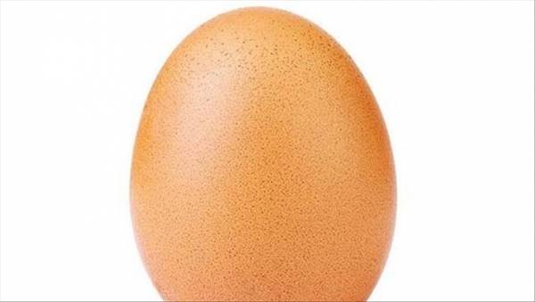 موسوعة غينيس تهنئ بيضة حطمت رقما قياسيا بعدد الإعجابات