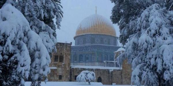 النائب طهبوب تصطاد الوزيرة زواتي..!!