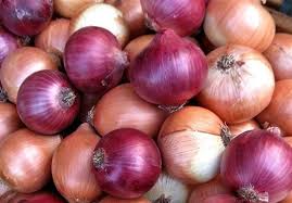 الزراعة: لن نسمح باستيراد البصل وندعو المزارعين للتريث