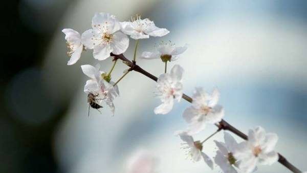 توقيت الولادة بالنسبة لفصول السنة الأربعة يؤثر على مستقبل الطفل!