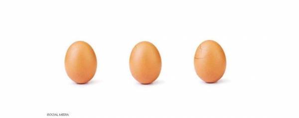 البيضة التي هزمت كايلي جينر تفقس.. وفيديو يحكي قصة الصورة