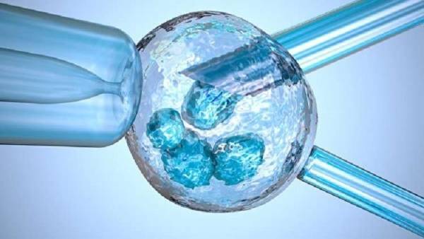 اليونان في انتظار ولادة طفل من ثلاثة آباء