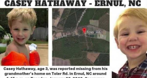 طرزان الجديد.. دببة تحمي طفلا تاه في الغابة