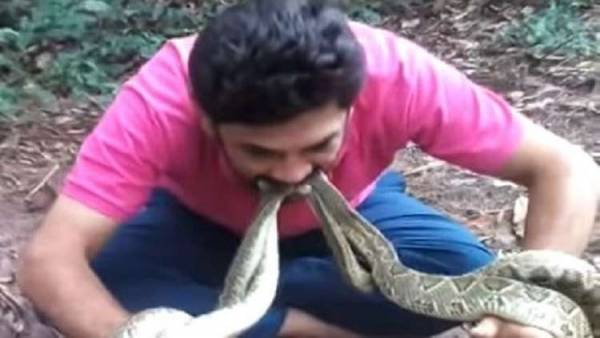 شاهد بالفيديو شاب يعض 4 أفاع سامة ويعرض حياته للخطر لهدف سام!