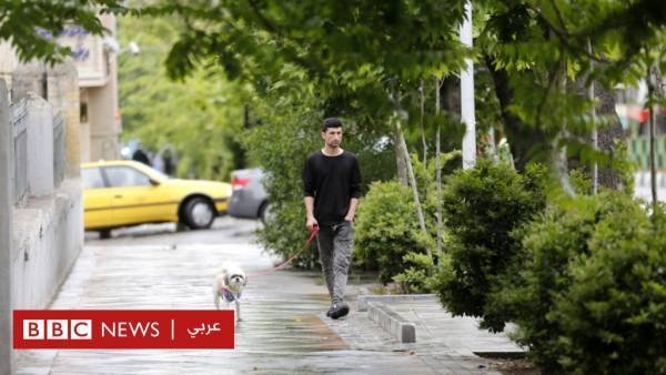 السلطات الإيرانية تحظر التجول مع الكلاب في شوارع طهران