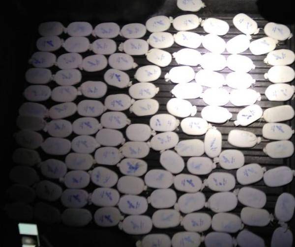 ضبط كمية كبيرة من كفوف الحشيش بالزرقاء