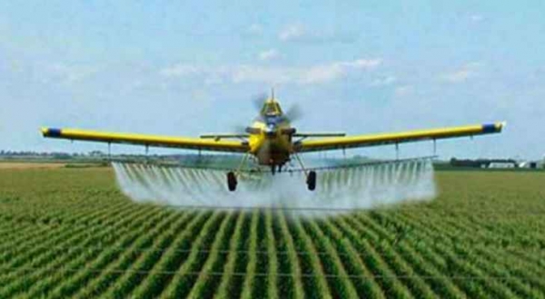 الحكومة توضح حقيقة اختفاء طائرة وردت في تقرير المحاسبة