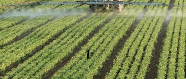 وفد البرلمان الاردني يلتقي وزير الزراعة السوري ..