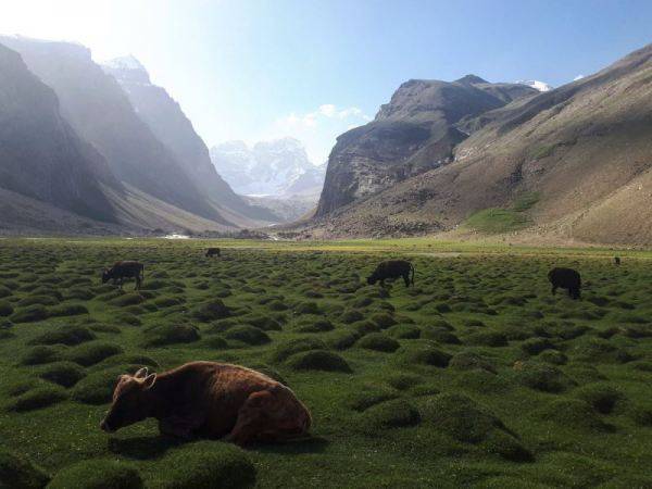 أفضل الصور التى التقطت بواسطة الهاتف المحمول لعام 2018