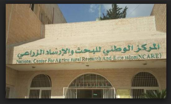 الوطني للبحوث الزراعية والعربية الزراعية يبحثان تعزيز العلاقات العلمية والفنية