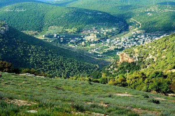 يحدث في الكورة  مؤسسة الاسكان والتطوير الحضري تبيع اراضي خصصت للمواطنين مجاناً !!