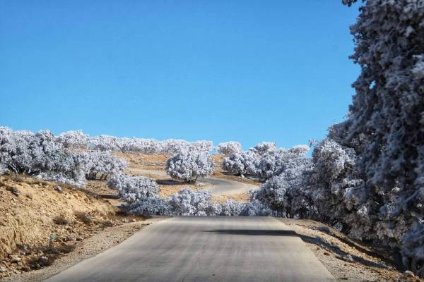 توقع منخفض جوي عميق يؤثر على بلاد الشام نهاية الشهر