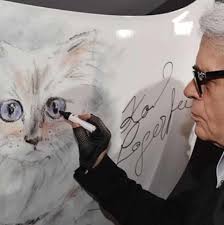 قد ترث (200) مليون دولار .. تعرف على حياة البذخ التي تعيشه القطة  شوبيت