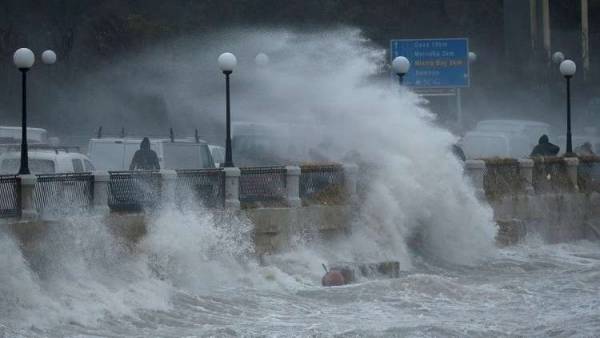 شاهد بالفيديو.. السماء تمطر أسماكا في مالطا