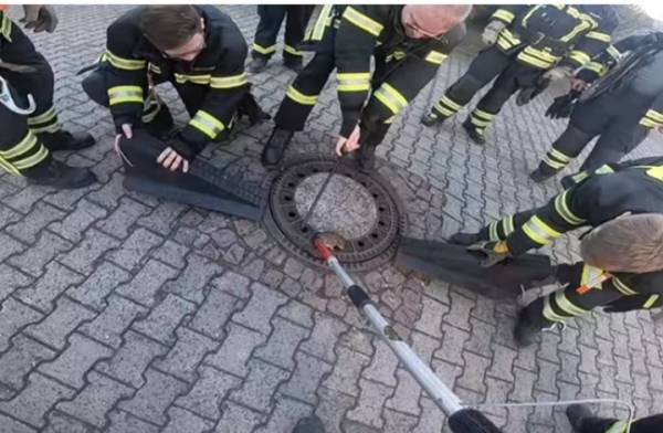 فريق كبير من رجال الإطفاء الألمان لإنقاذ.. جرذ (فيديو)
