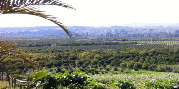 وزارة الزراعة تحذر المزارعين من تشكل السيول