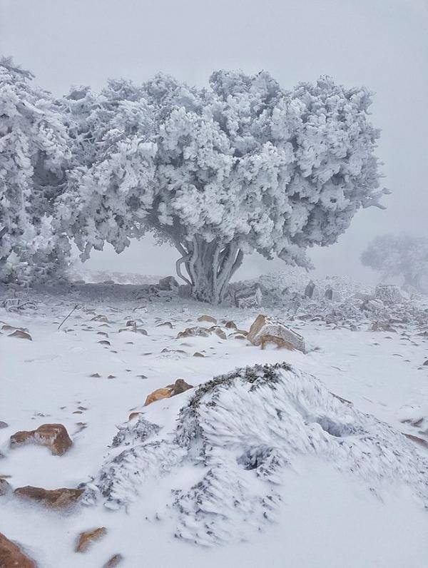 جبال الجنوب العالية على موعد مع ثلجة آذار الاثنين