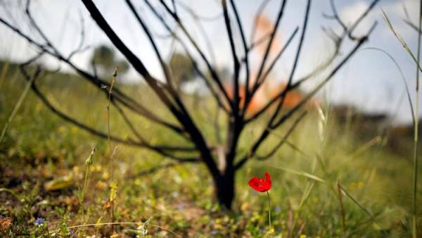 كيف تحسن من مزاجك في 12 دقيقة