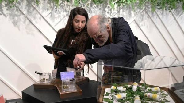 إقبال كبير على أولى متاجر بيع الحشيش في كندا