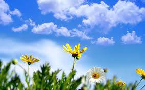 اجواء ربيعية لثلاثة ايام