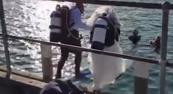 شاهد... أغرب حفل زفاف تحت الماء