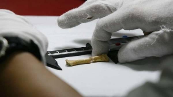 اكتشاف رفات نوع جديد من البشر في الفلبين