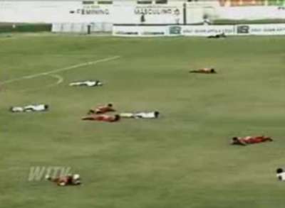 بالفيديو: سرب من النحل يتسبب بإيقاف مباراة في الدقيقة الثالثة من عمر اللقاء