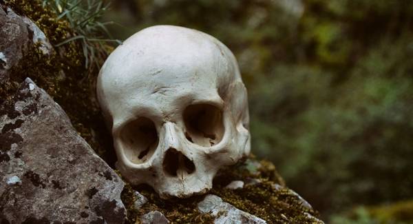 سيخ معدني اخترق رأسه ... نجاة رجل من الموت بأعجوبة (صورة)