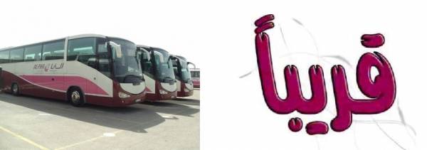 قريباً جداً اخبار البلد تنشر المخفي والمستور في أخطر كتاب رسمي عن شركة الفا لتأجير الحافلات وحقيقة رخصتها