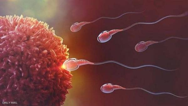 علماء يكتشفون السبب المعرقل للعقم عند الرجال