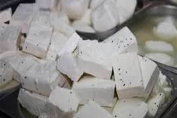 المفرق...ضبط اكثر من طن جبنة فاسدة