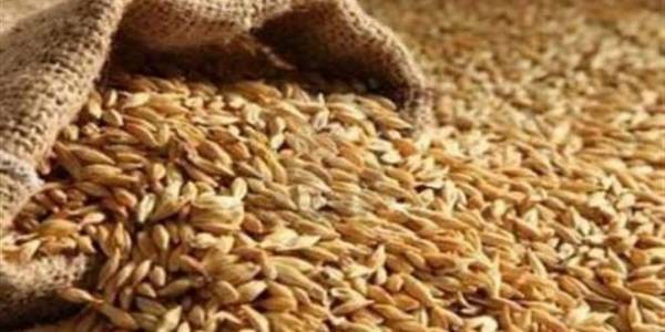 تنويه صادر عن وزارة الزراعة ..تفاصيل