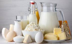 قطاع الألبان الأردني يدعو لحمايته من منافسة غير عادلة