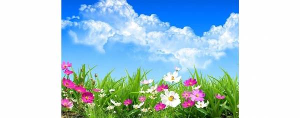 نقلاب بحالة الطقس.. انخفاض درجات الحرارة وسحب رعدية ماطرة (تفاصيل)