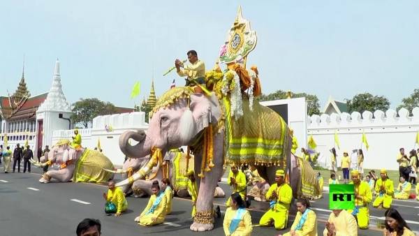 شاهد..عرض للفيلة احتفالا بتتويج ملك تايلاند الجديد