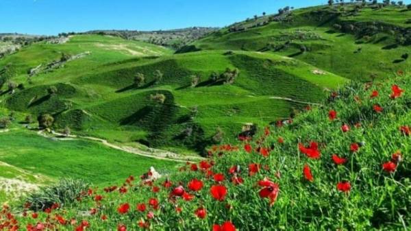 اجواء لطيفة في معظم مناطق المملكة اليوم وغدا