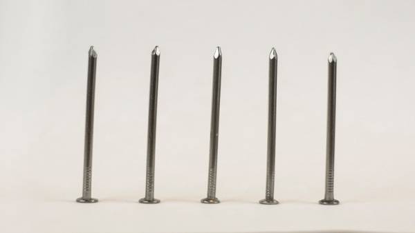 استخراج عشرات المسامير من أمعاء مبتلع الخردة في الهند! (فيديو)